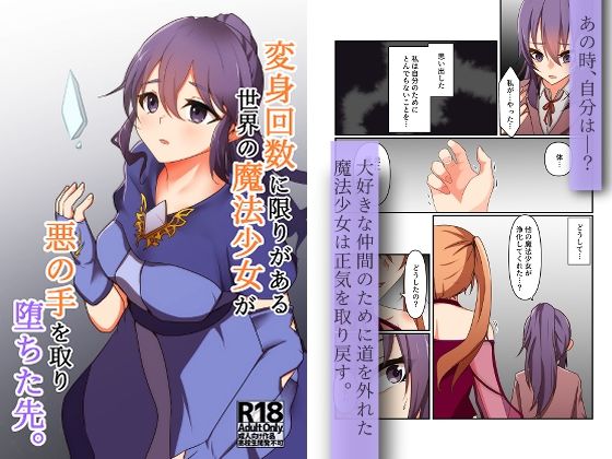 変身回数に限りがある世界の魔法少女が悪の手を取り堕ちた先。