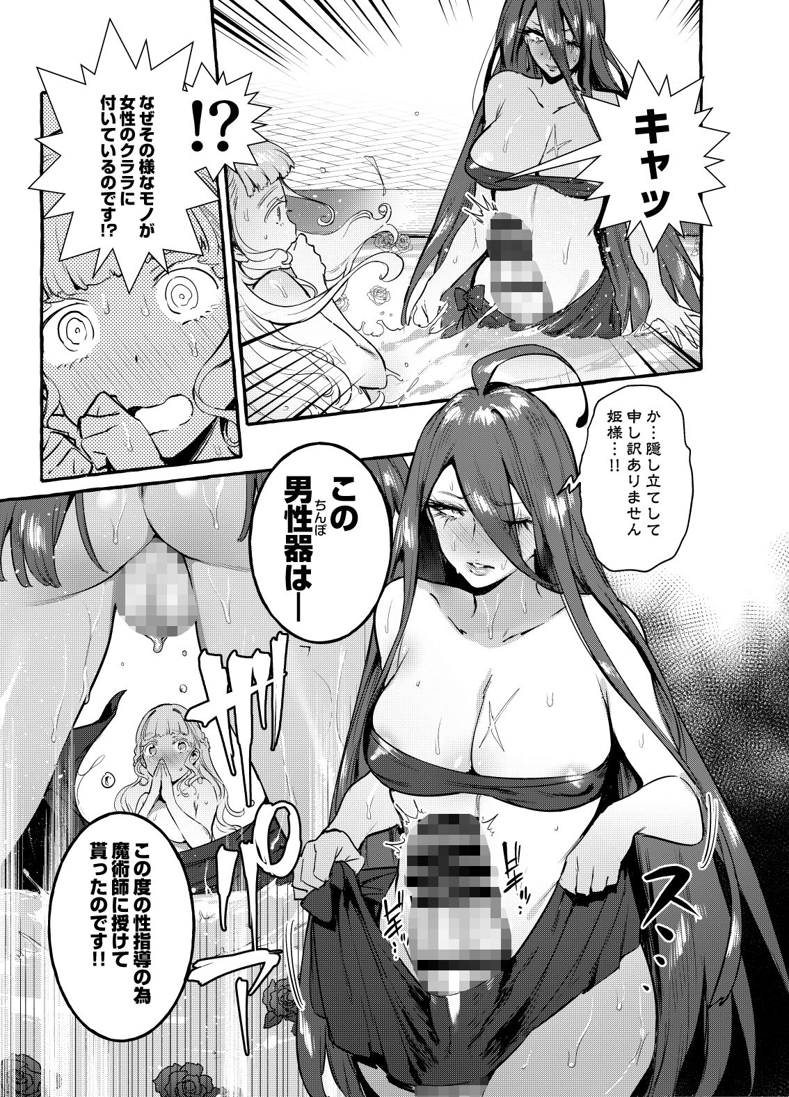 おちんぽ女騎士と処女姫