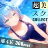 超美麗スク水コレクション vol.2