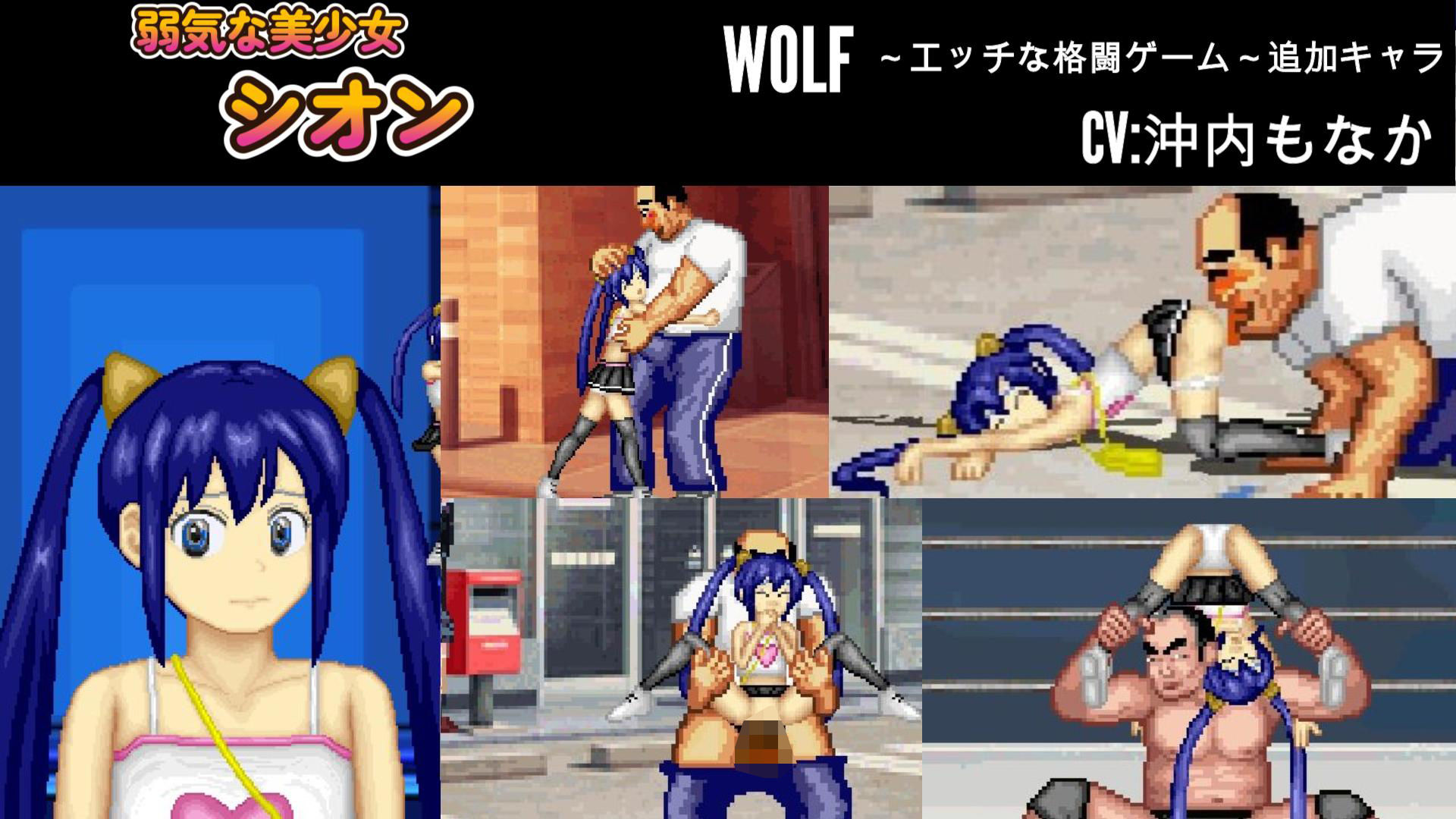 気弱な美少女「シオン」WOLF〜エッチなアップデート型格闘ゲーム〜 追加キャラ