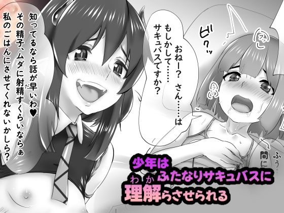 少年はふたなりサキュバスに理解らさせられる