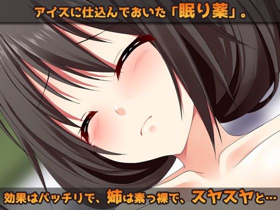 睡眠姦〜お姉ちゃんに「眠り薬」でエッチな事をする弟（ボク）〜オナニー用ミニゲーム