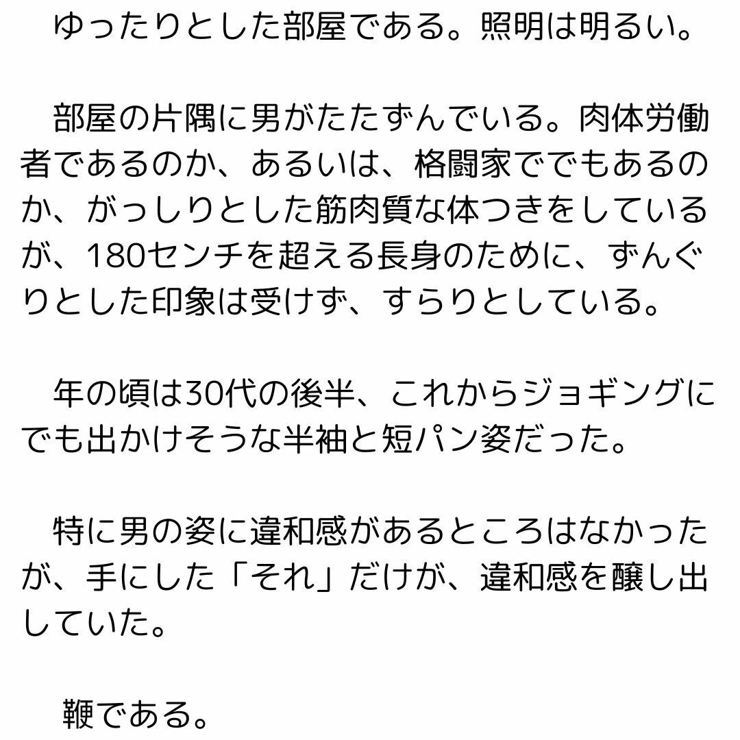 鞭と青年と奴●